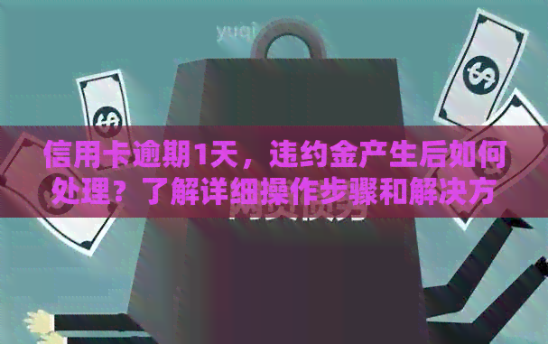 信用卡逾期1天，违约金产生后如何处理？了解详细操作步骤和解决方法！