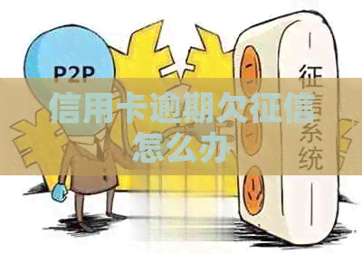 信用卡逾期欠怎么办