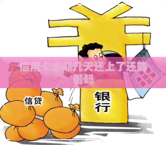 信用卡逾期几天还上了还能借吗
