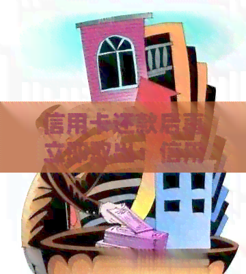 信用卡还款后再立即取出：信用记录与利息影响的详细分析