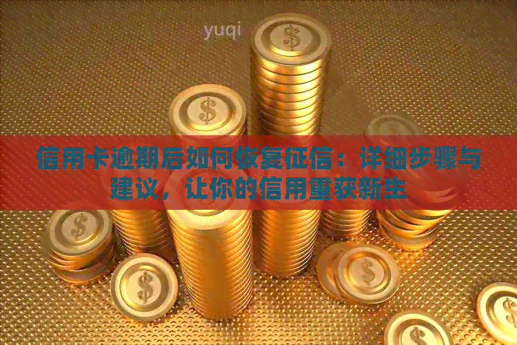 信用卡逾期后如何恢复：详细步骤与建议，让你的信用重获新生