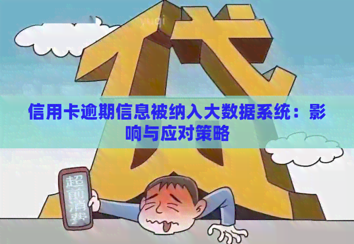信用卡逾期信息被纳入大数据系统：影响与应对策略