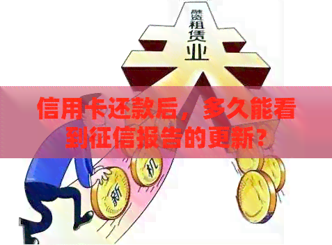 信用卡还款后，多久能看到报告的更新？