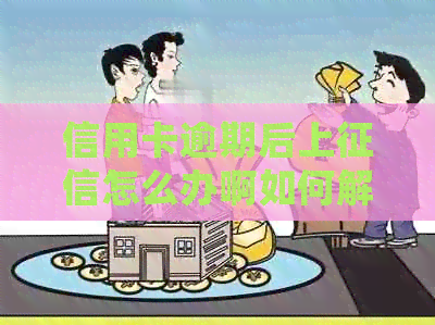 信用卡逾期后上怎么办啊如何解决及恢复信用？会影响个人信用吗？