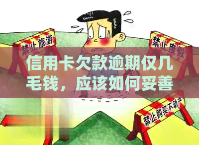 信用卡欠款逾期仅几毛钱，应该如何妥善处理？了解完整解决方案！