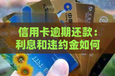 信用卡逾期还款：利息和违约金如何计算？逾期后果及解决方案全解析
