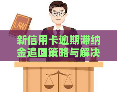 新信用卡逾期滞纳金追回策略与解决方法：如何避免不必要的损失？