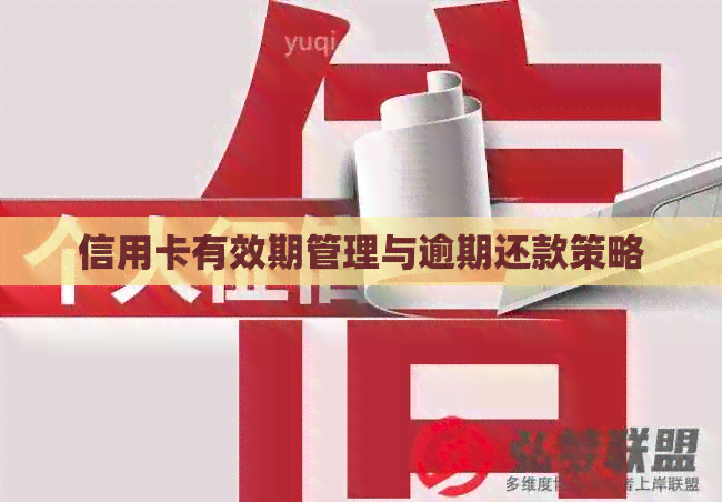 信用卡有效期管理与逾期还款策略