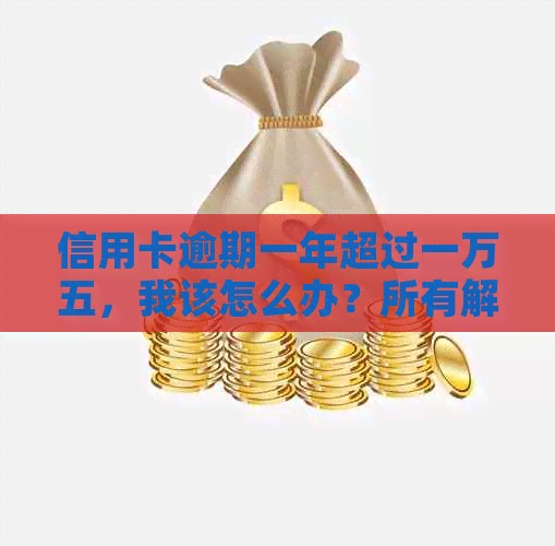 信用卡逾期一年超过一万五，我该怎么办？所有解决方案和建议都在这里！