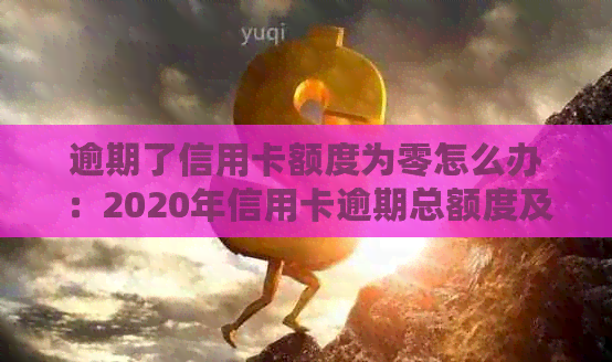 逾期了信用卡额度为零怎么办：2020年信用卡逾期总额度及无法使用的解决方法