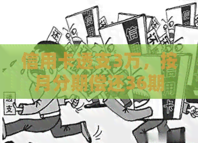 信用卡透支3万，按月分期偿还36期的详细步骤与指南