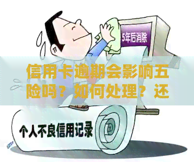 信用卡逾期会影响五险吗？如何处理？还可以贷款或考公务员吗？