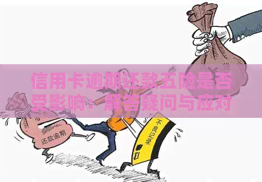 信用卡逾期还款五险是否受影响：解答疑问与应对策略