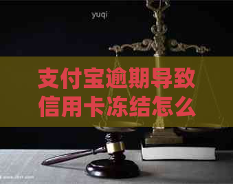 支付宝逾期导致信用卡冻结怎么办？这里有全面解决方案！