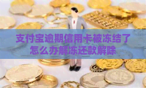 支付宝逾期信用卡被冻结了怎么办解冻还款解除