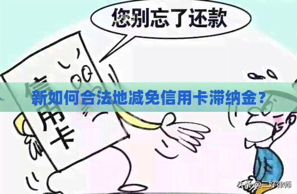 新如何合法地减免信用卡滞纳金？