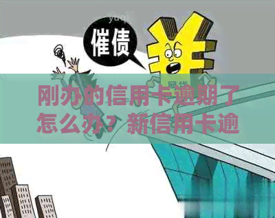 刚办的信用卡逾期了怎么办？新信用卡逾期的后果及办理前的信用问题
