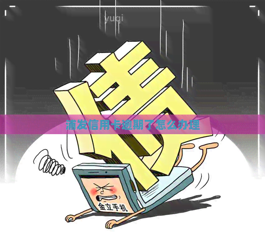 浦发信用卡逾期了怎么办理