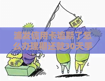 浦发信用卡逾期了怎么办理期还款30天手续