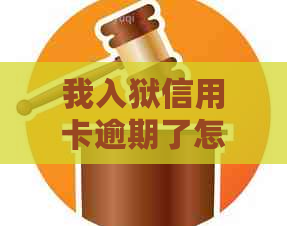 我入狱信用卡逾期了怎么办理还款和分期？