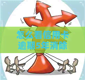 怎么看信用卡逾期5年消除