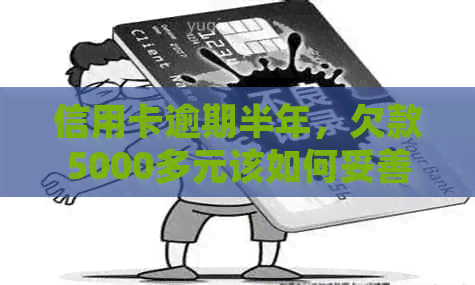 信用卡逾期半年，欠款5000多元该如何妥善处理？解决逾期还款的全攻略