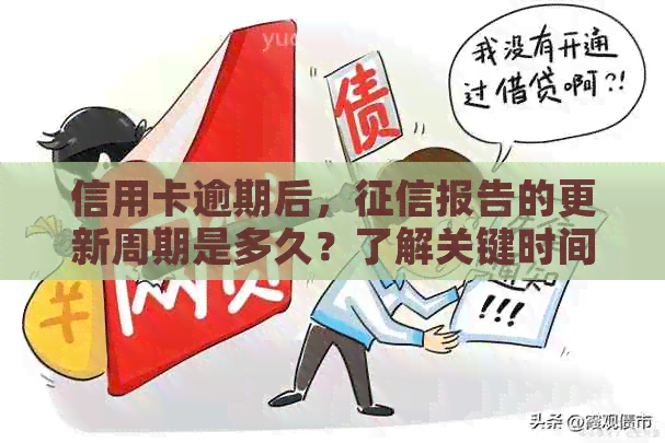 信用卡逾期后，报告的更新周期是多久？了解关键时间点！