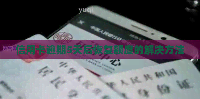 信用卡逾期5天后恢复额度的解决方法