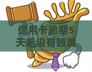 信用卡逾期5天后没有额度
