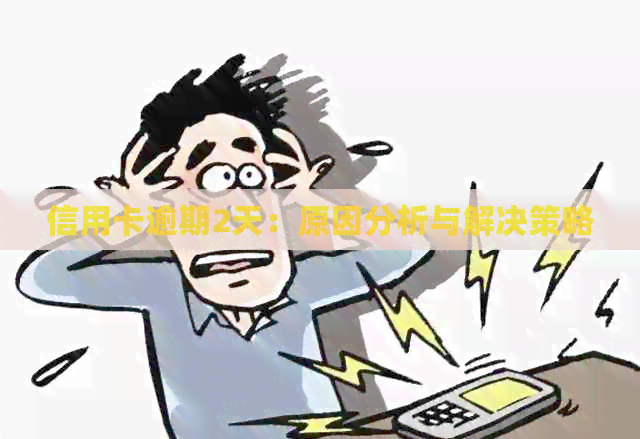 信用卡逾期2天：原因分析与解决策略