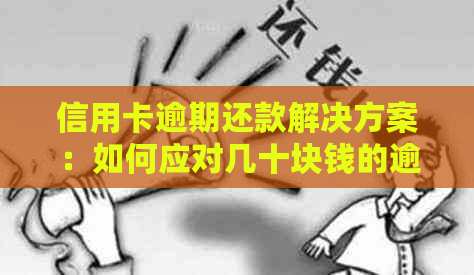 信用卡逾期还款解决方案：如何应对几十块钱的逾期费用及其后果
