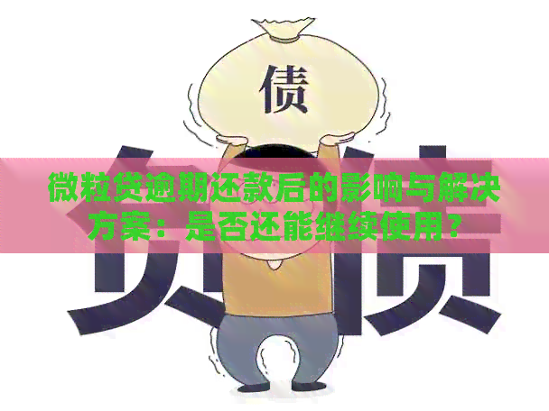 微粒贷逾期还款后的影响与解决方案：是否还能继续使用？