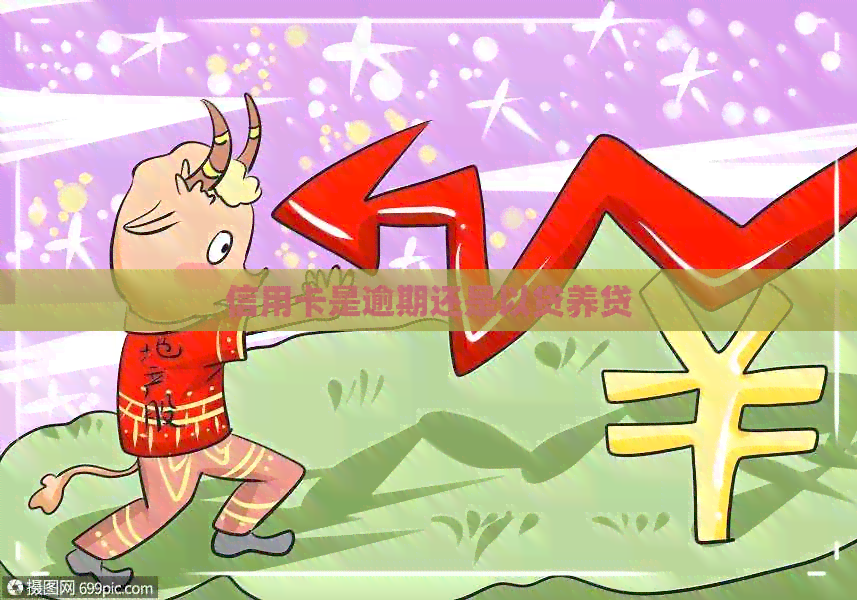 信用卡是逾期还是以贷养贷