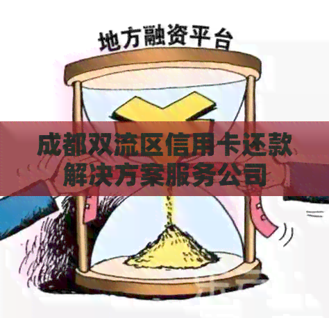 成都双流区信用卡还款解决方案服务公司