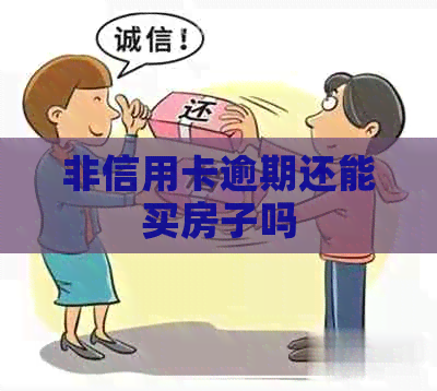 非信用卡逾期还能买房子吗
