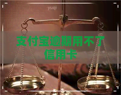 支付宝逾期用不了信用卡