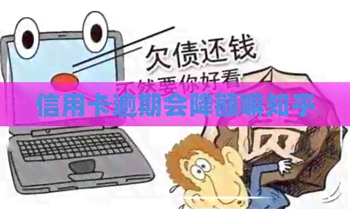 信用卡逾期会降额嘛知乎