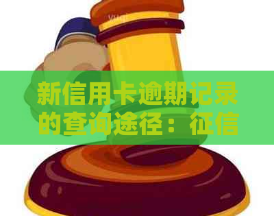 新信用卡逾期记录的查询途径：报告能揭示哪些信息？