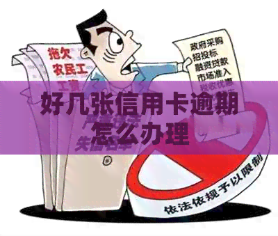 好几张信用卡逾期怎么办理