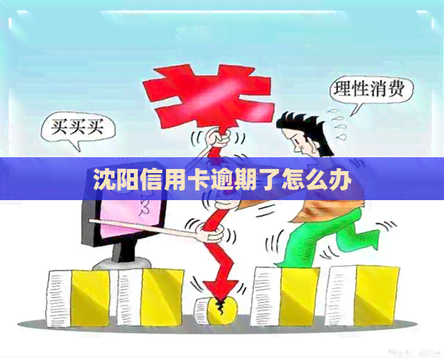 沈阳信用卡逾期了怎么办