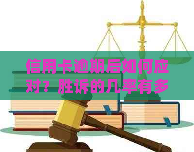 信用卡逾期后如何应对？胜诉的几率有多大？知乎上的解答全面吗？