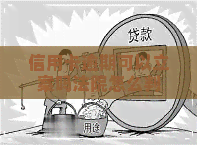信用卡逾期可以立案吗法院怎么判