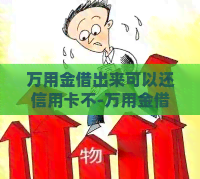万用金借出来可以还信用卡不-万用金借出来可以还信用卡不还吗