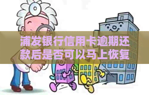 浦发银行信用卡逾期还款后是否可以马上恢复信用？如何处理逾期还款问题？