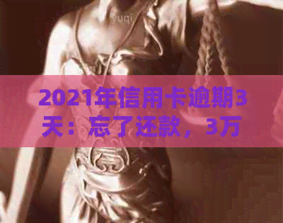 2021年信用卡逾期3天：忘了还款，3万额度逾期两天了
