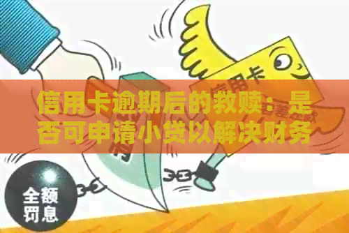 信用卡逾期后的救赎：是否可申请小贷以解决财务困境？