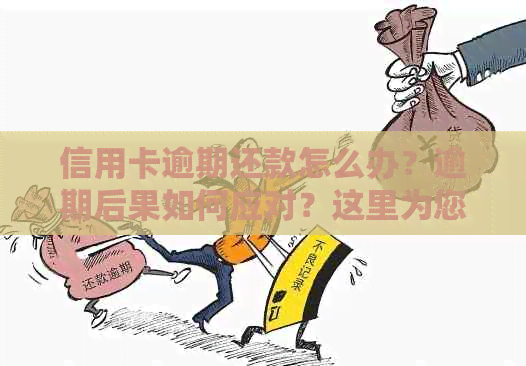 信用卡逾期还款怎么办？逾期后果如何应对？这里为您提供全面解决方案！