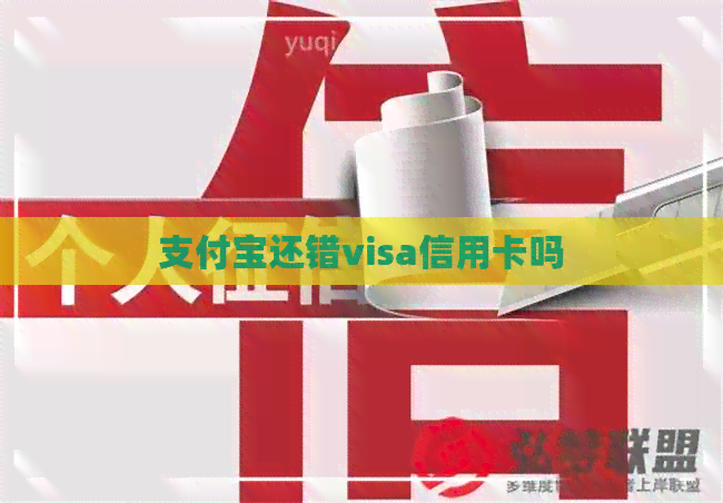 支付宝还错visa信用卡吗