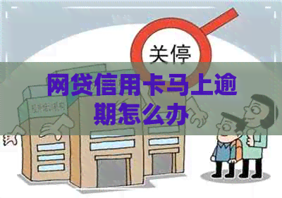 网贷信用卡马上逾期怎么办