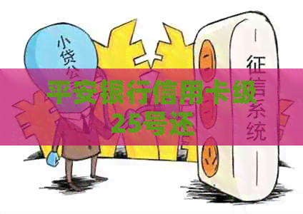 平安银行信用卡级25号还